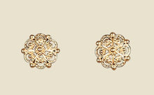 Load image into Gallery viewer, Earrings from Sylsmidja