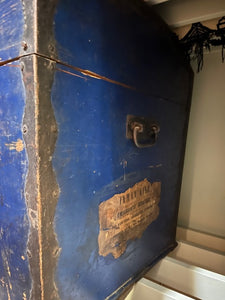 Scandinavian Trunk