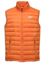 Load image into Gallery viewer, Down Vest Unisex
