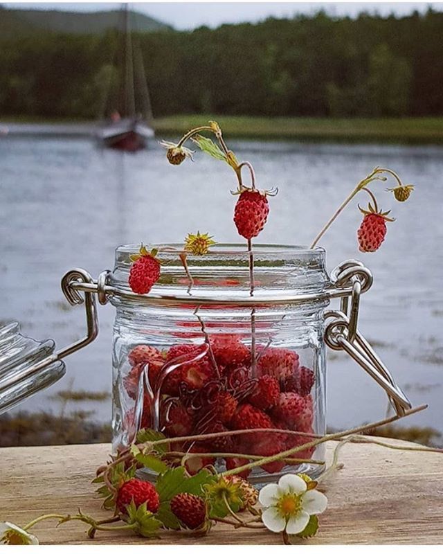 Norges Glass - Hasp and Screw Top Jars